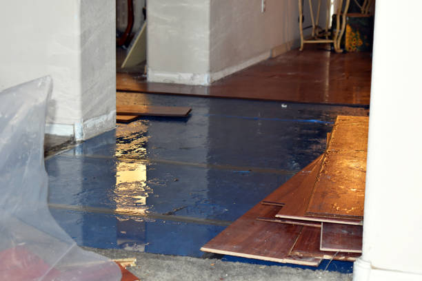 Professional Flood Damage Repair technician working in Cairo, OH